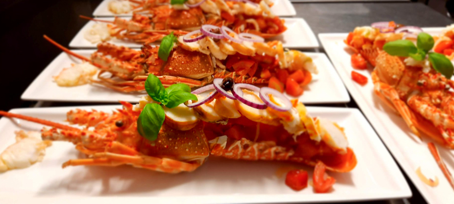 WhatsApp Image 2026-03-07 at 19.56.26