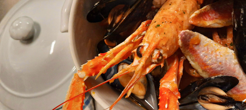 WhatsApp Image 2026-03-07 at 19.56.34